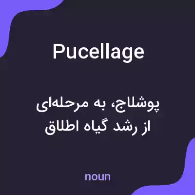 معنی pucellage به فارسی معنی pucellage به فارسی