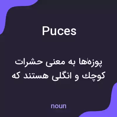 معنی puces به فارسی معنی puces به فارسی