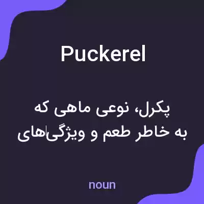 معنی puckerel به فارسی معنی puckerel به فارسی