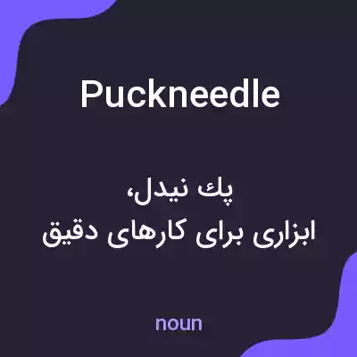 معنی puckneedle به فارسی معنی puckneedle به فارسی