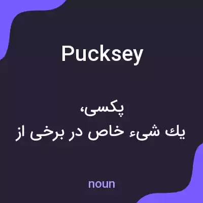 معنی pucksey به فارسی معنی pucksey به فارسی