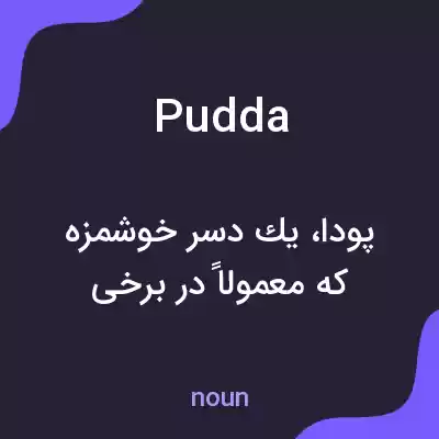 معنی pudda به فارسی معنی pudda به فارسی