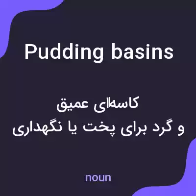 معنی pudding basins به فارسی معنی pudding basins به فارسی