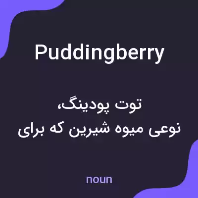 معنی puddingberry به فارسی معنی puddingberry به فارسی