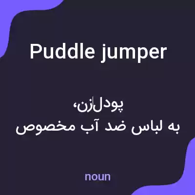معنی puddle jumper به فارسی معنی puddle jumper به فارسی