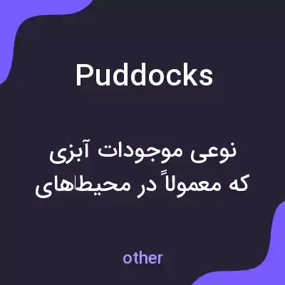معنی puddocks به فارسی معنی puddocks به فارسی