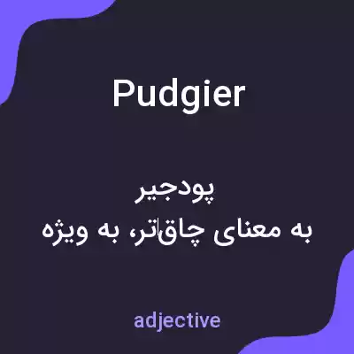 معنی pudgier به فارسی معنی pudgier به فارسی