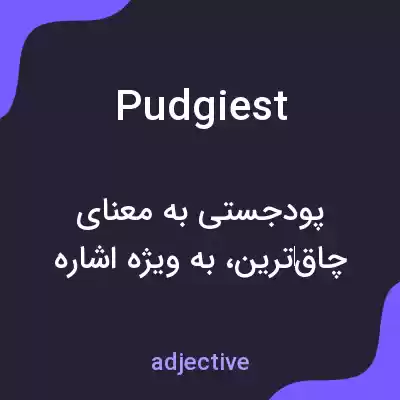 معنی pudgiest به فارسی معنی pudgiest به فارسی