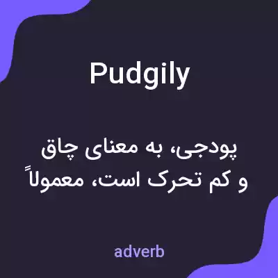 معنی pudgily به فارسی معنی pudgily به فارسی