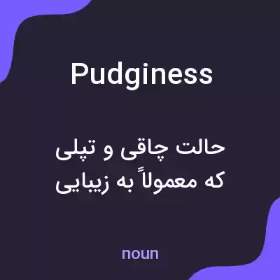 معنی pudginess به فارسی معنی pudginess به فارسی