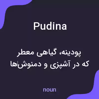 معنی pudina به فارسی معنی pudina به فارسی