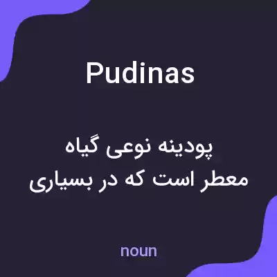معنی pudinas به فارسی معنی pudinas به فارسی