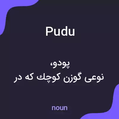 معنی pudu به فارسی معنی pudu به فارسی