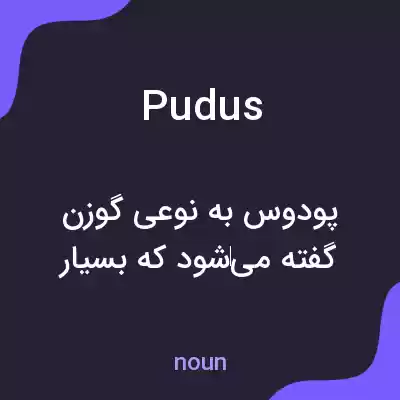 معنی pudus به فارسی معنی pudus به فارسی