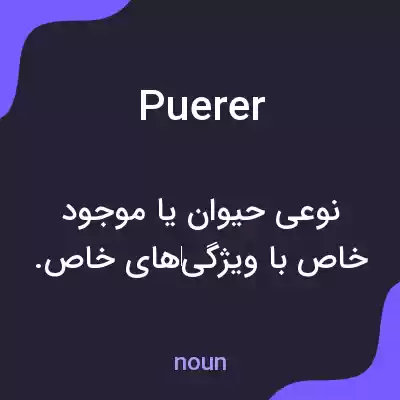 معنی puerer به فارسی معنی puerer به فارسی