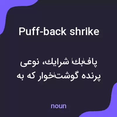 معنی puff-back shrike به فارسی معنی puff-back shrike به فارسی