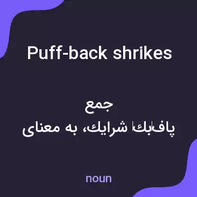 معنی puff-back shrikes به فارسی معنی puff-back shrikes به فارسی