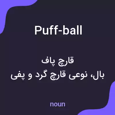 معنی puff-ball به فارسی معنی puff-ball به فارسی