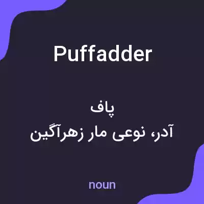 معنی puffadder به فارسی معنی puffadder به فارسی