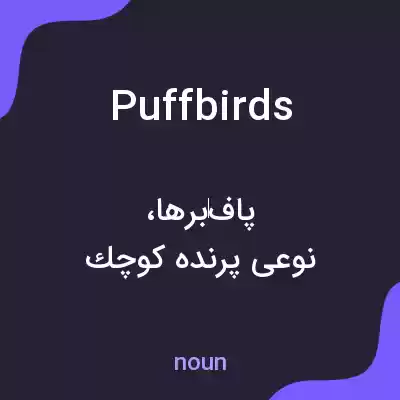 معنی puffbirds به فارسی معنی puffbirds به فارسی