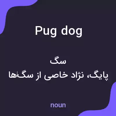 معنی pug dog به فارسی معنی pug dog به فارسی