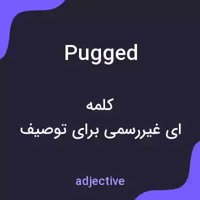 معنی pugged به فارسی معنی pugged به فارسی