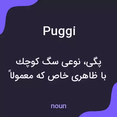 معنی puggi به فارسی معنی puggi به فارسی
