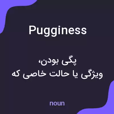 معنی pugginess به فارسی معنی pugginess به فارسی