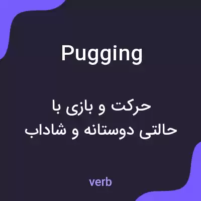 معنی pugging به فارسی معنی pugging به فارسی