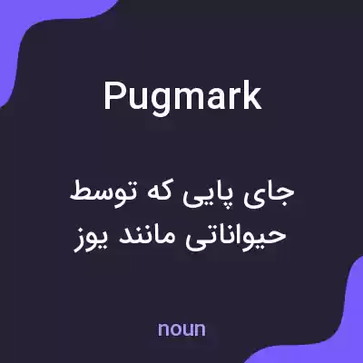 معنی pugmark به فارسی