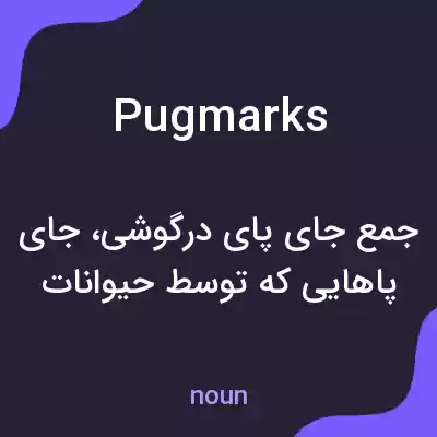 معنی pugmarks به فارسی معنی pugmarks به فارسی