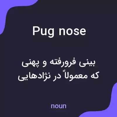 معنی pug nose به فارسی معنی pug nose به فارسی