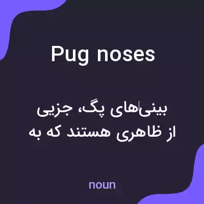معنی pug noses به فارسی معنی pug noses به فارسی