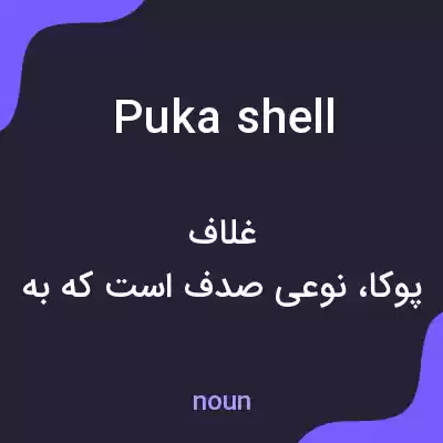 معنی puka shell به فارسی معنی puka shell به فارسی