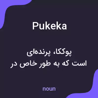 معنی pukeka به فارسی معنی pukeka به فارسی