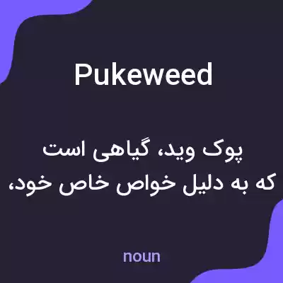 معنی pukeweed به فارسی معنی pukeweed به فارسی