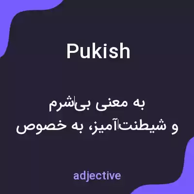 معنی pukish به فارسی معنی pukish به فارسی