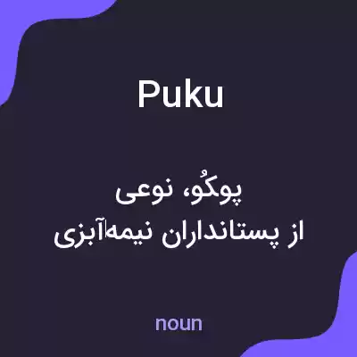 معنی puku به فارسی معنی puku به فارسی