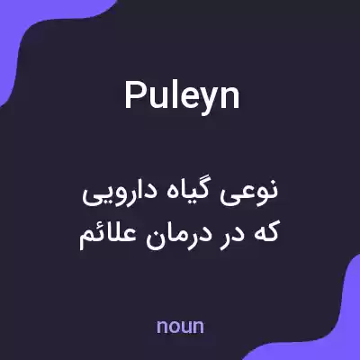 معنی puleyn به فارسی معنی puleyn به فارسی