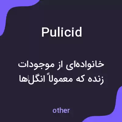 معنی pulicid به فارسی معنی pulicid به فارسی