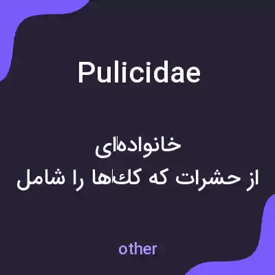 معنی pulicidae به فارسی معنی pulicidae به فارسی