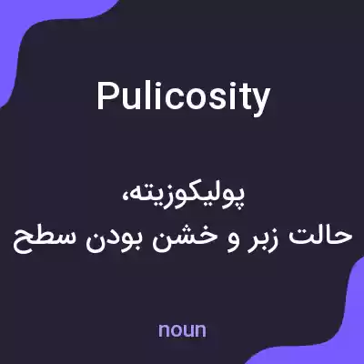 معنی pulicosity به فارسی معنی pulicosity به فارسی