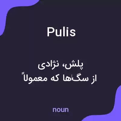 معنی pulis به فارسی معنی pulis به فارسی