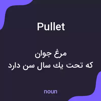 معنی pullet به فارسی معنی pullet به فارسی