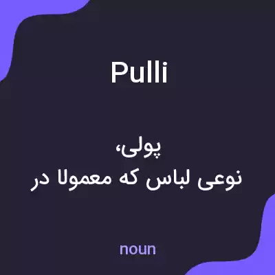 معنی pulli به فارسی معنی pulli به فارسی