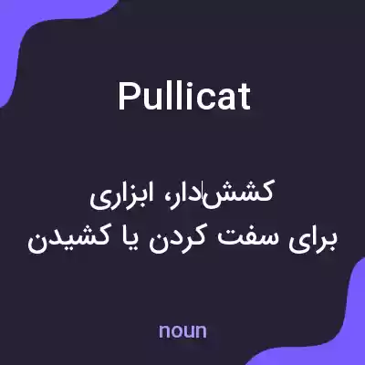 معنی pullicat به فارسی معنی pullicat به فارسی