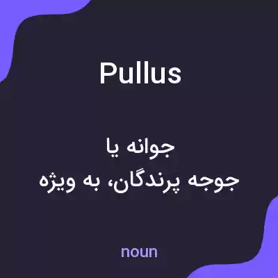 معنی pullus به فارسی معنی pullus به فارسی