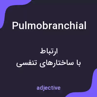 معنی pulmobranchial به فارسی معنی pulmobranchial به فارسی