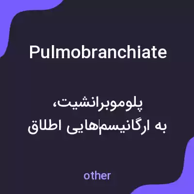 معنی pulmobranchiate به فارسی معنی pulmobranchiate به فارسی