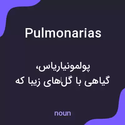 معنی pulmonarias به فارسی